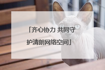 齐心协力 共同守护清朗网络空间